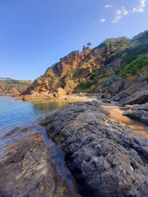 La Foto del Giorno (5 lug.)