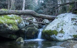 La Foto del Giorno (12 gen.)