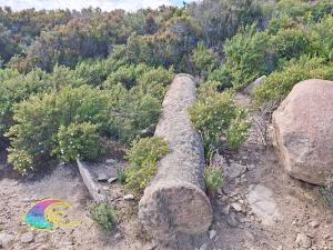 Foto di Virtual Elba