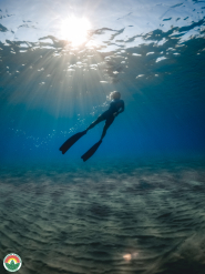 Nasce "Elba Scuba Card 2023"