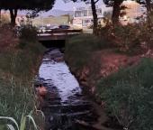 Portoferraio: la rotonda della vergogna