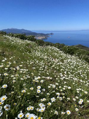 La Foto del Giorno (29 apr.)