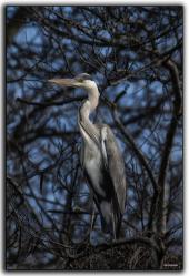 La Foto del Giorno (28 gen.)