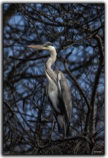 La Foto del Giorno (28 gen.)