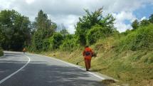 Campagna di taglio dell’erba lungo le strade provinciali del distretto elbano