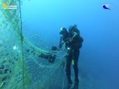 Campagna di riqualificazione dei fondali dell'Isola di Giannutri