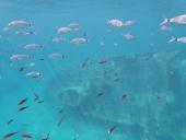 La Foto del Giorno (3 lug.)