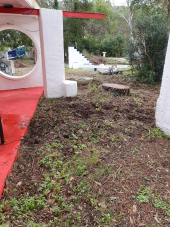 Devastazioni dei suini selvatici anche all'Open Air Museum di Italo Bolano