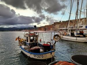 La Foto del Giorno (14 gen.)