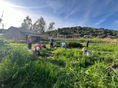 Fotocronaca: Il Progetto delle Aromatiche a Mola