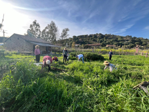 Fotocronaca: Il Progetto delle Aromatiche a Mola