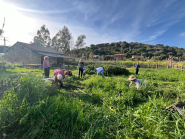 Fotocronaca: Il Progetto delle Aromatiche a Mola