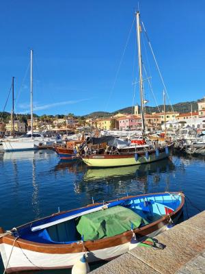 La Foto del Giorno (28 dic.)