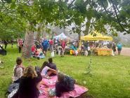 La Festa delle Farfalle all’Isola d’Elba: un successo tra nuvole e nebbia
