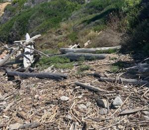 Accesso negato e degrado: la vera situazione della spiaggia Stecchi a Capoliveri