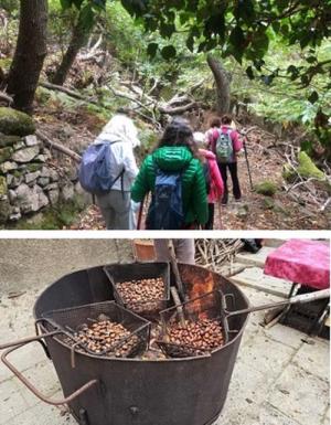 Conclusa la Settimana delle Castagne 2025, i ringraziamenti