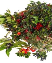 L’Accademia Italiana della Cucina elbana piange la scomparsa dell’Accademico e amico Professore Agostino Stefani