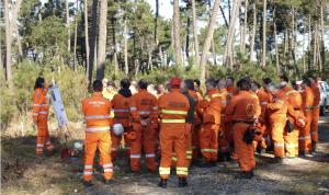 Prevenzione incendi boschivi: nuove risorse per 115mila euro nel Piano forestale
