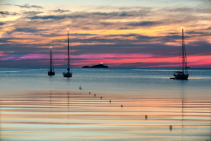 La Foto del Giorno (19 lug.)