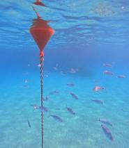 La Foto del Giorno (9 giu.)