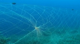 Scogli e secche "imballati" dalle reti perse - il documentario di Carlo Gasparri