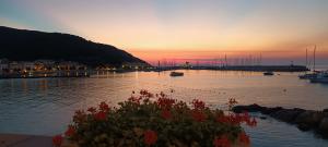 La Foto del Giorno (25 mag.)