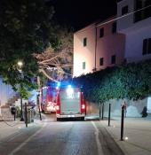 Cade un grosso ramo di pino a Sant'Ilario