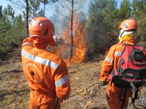 Dal 21 giugno divieto di abbruciamenti. Segnalazioni al numero verde 800.425.425