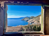 La Foto del Giorno (30 gen.)