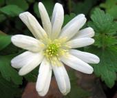 Il Gruppo Consiliare "cambiamo" in occasione della scomparsa di Lorenzo Bosi