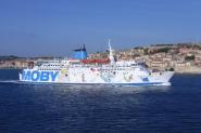 Viaggi terminali verso demolizioni in Turchia:  cosa resterà della "gloriosa flotta" delle balene blu?