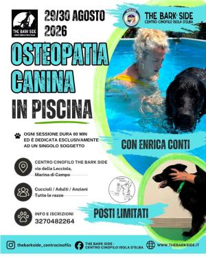 Quando il benessere del cane incontra l’acqua: sabato e domenica arriva l’osteopatia canina a Marina di Campo