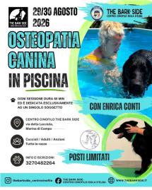 Quando il benessere del cane incontra l’acqua: sabato e domenica arriva l’osteopatia canina a Marina di Campo