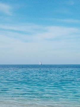 La Foto del Giorno (24 sett.)