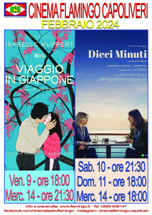 La programmazione del Cinema Flamingo