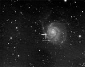 Notizie dallo spazio - una luminosa stella supernova fotografata dall'Elba