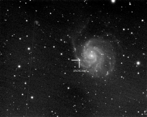 Notizie dallo spazio - una luminosa stella supernova fotografata dall&#039;Elba