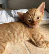 Un’adozione del cuore per Biagio