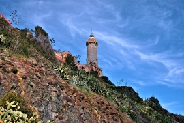 La Foto del Giorno (30 apr.)