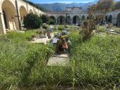 Cimitero marinese: condizioni indecorose e abbandono