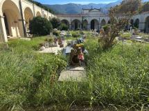 Cimitero marinese: condizioni indecorose e abbandono