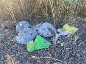 Fotonotizia - Spiaggia di Schiopparello. Raccolgono i rifiuti... ma li lasciano sul posto