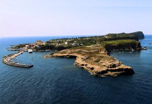 Manganellate elettorali (... se ci fosse Lui... caro Lei: tutti a Ventotene!)