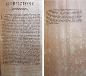 Portoferraio 23 novembre 1796. Grave infezione epidemica contagiosa del bestiame bovino
