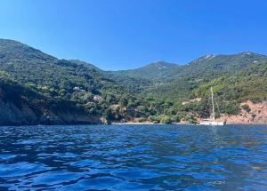 La Foto del Giorno (13 sett.)