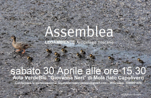 Il 30 Aprile assemblea di Legambiente a Mola: presente e futuro di un’associazione in salute