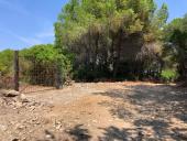 Nuova strada per Galenzana - Capo Poro, il Comune di Campo non ha rilasciato nessuna autorizzazione per i lavori