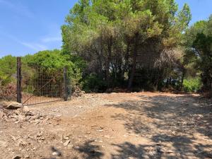 Nuova strada per Galenzana - Capo Poro, il Comune di Campo non ha rilasciato nessuna autorizzazione per i lavori