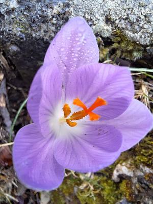 La Foto del Giorno (2 mar.)