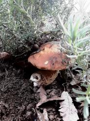 La Foto del Giorno (13 dic.)